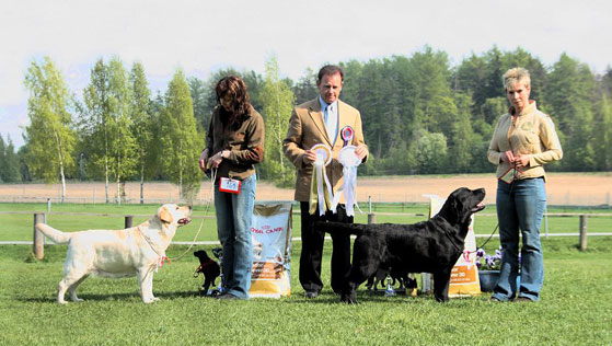 another BIS in Finland