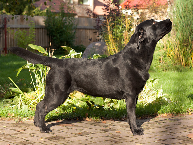 My Brand Mademoiselle 