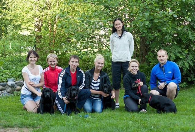 C-litter I training session