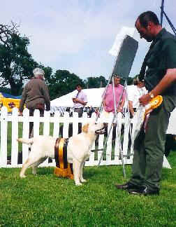 Bourbon Mist At Baileydale