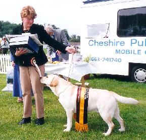 Lembas Let Get Serious