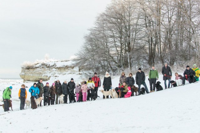 Puppy Party 2013 (photo © Arvo Ermos)