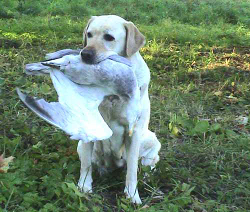 "Tegemas seda, mida k&otilde;ige enam naudin..."