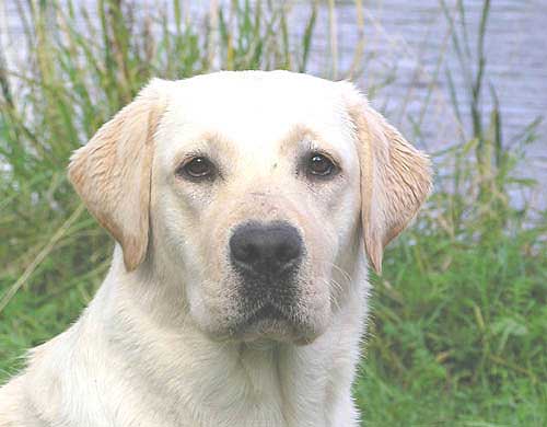 Eliza at the age of 16 months