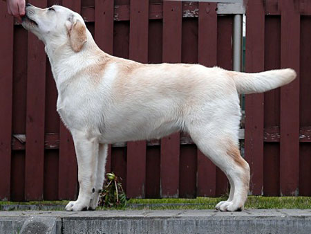 My Brand Eden At Kopa