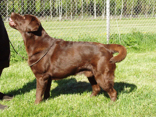 My Brand Love Letter