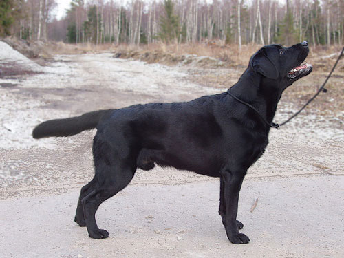 My Brand Love Mission