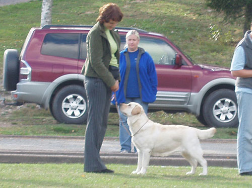 Eliza at the Salo Specialty Show Finland