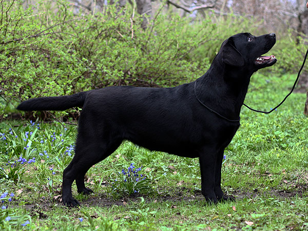 My Brand Miss Sunshine