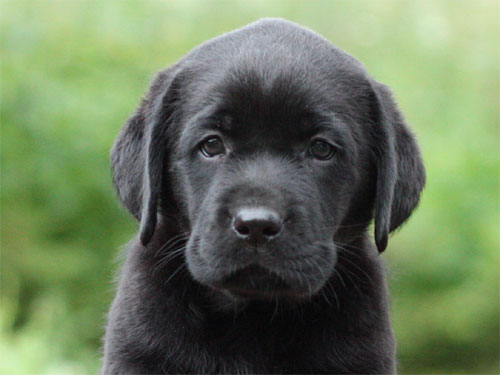 My Brand Miss Sunshine