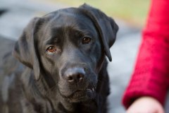 My Brand Indian Magic