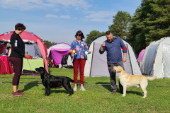 Tallinn Winner 2021 show, judge Roxana Liliana Opris (Denmark), Lilli was Best of Breed, CACIB