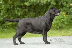 My Brand Last Minute Delivery at the age of 4 years