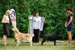 Kutsikate-Veteranide-Show-2018-BEST-IN-SHOW-II