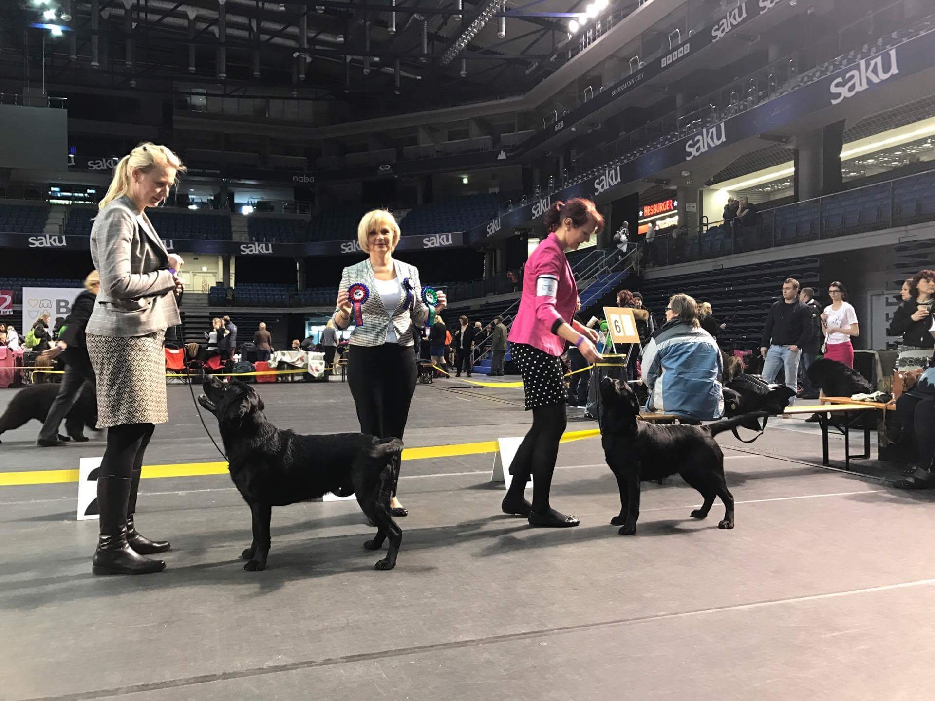 Lilli oli Tallinnas 12.3.2017 VSP-juunior, foto eest tänud Liina Kippastole!