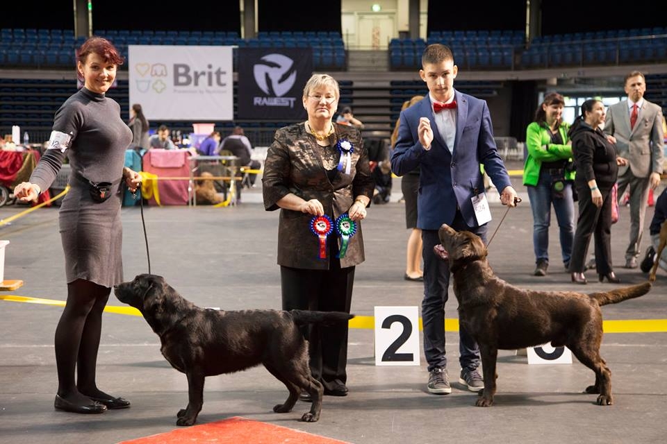 Lilli BOB-Junior 11.3.2017, foto Veronika Sedaja, aitäh!