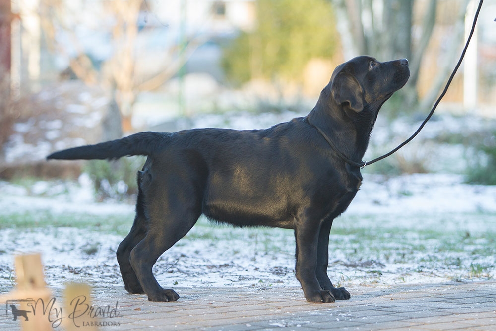 My Brand Last Minute Delivery at the age of 5 months