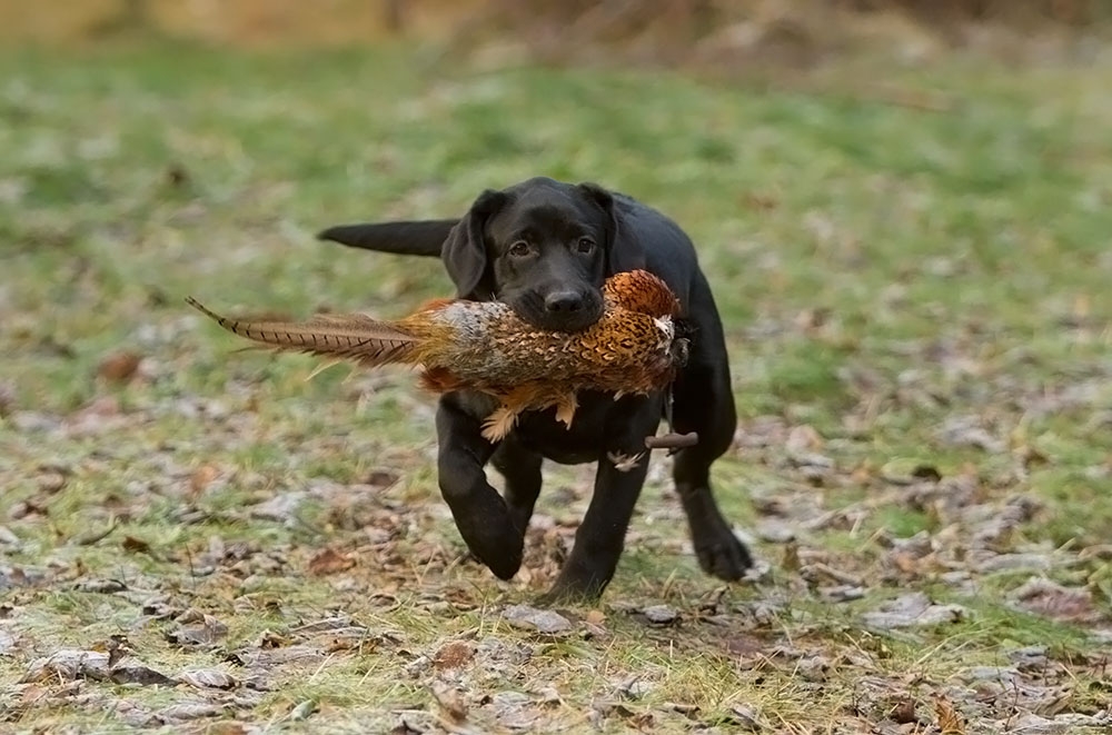 My Brand Last Minute Delivery (6 months old)