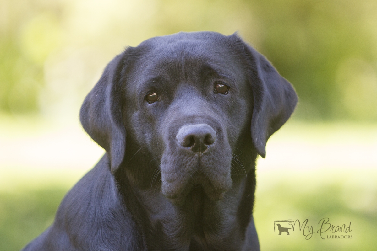 My Brand Last Minute Delivery at the age of 3 years