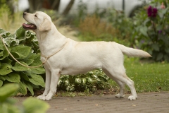 My Brand Sky Spirit (september 2018)