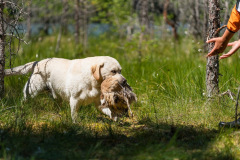 Tasemekatse (NOME-B) 03.07.2021, photo Aleksandr Kozulin