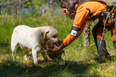Tasemekatse (NOME-B) 03.07.2021, photo Aleksandr Kozulin