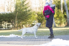 My Brand Sky Wizard  (4 years old)