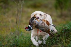 My Brand Star Alliance at training. Photo by Aleksandr Kozulin.