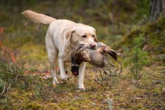My Brand Star Alliance at training. Photo by Aleksandr Kozulin.