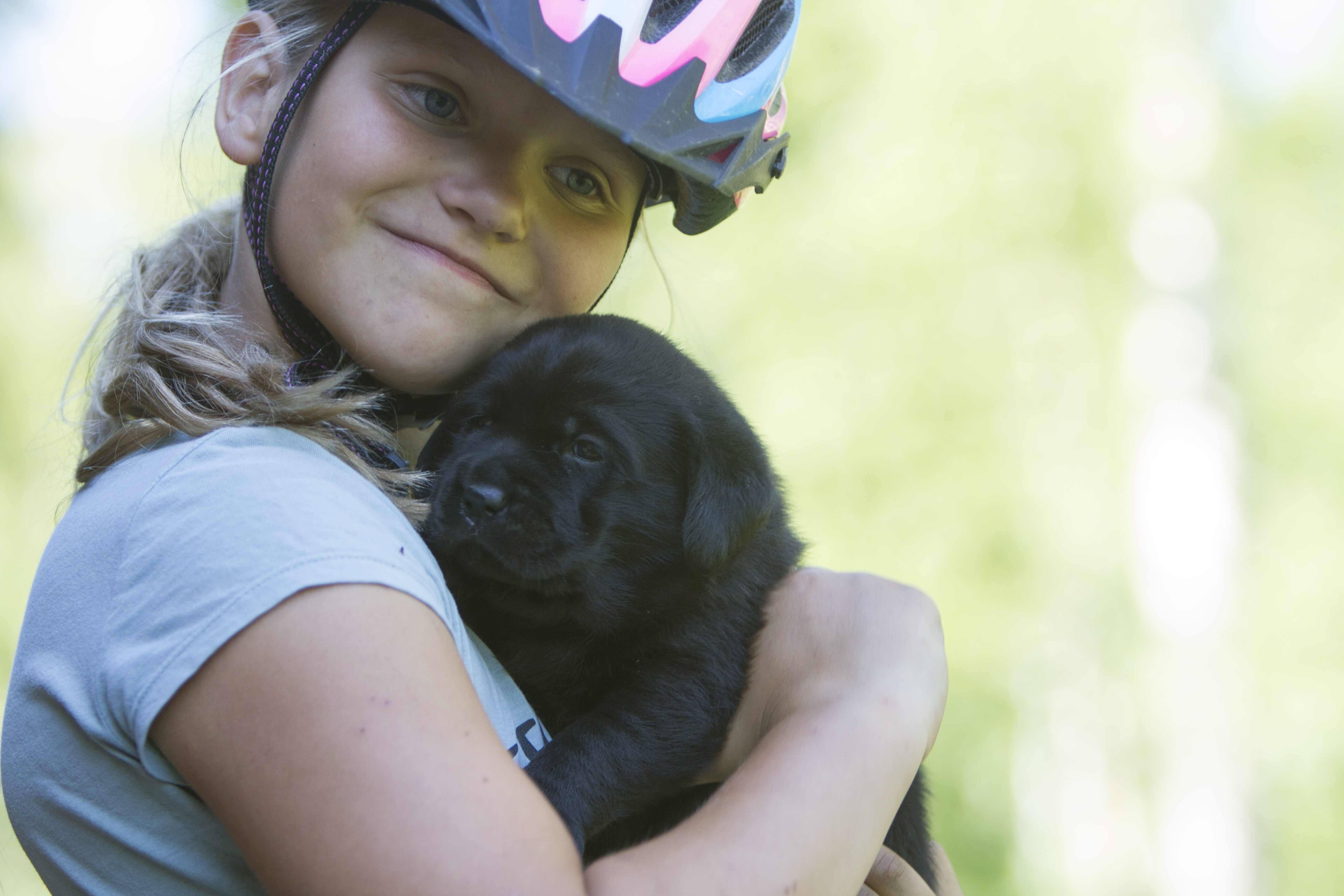 My Brand Star Attraction