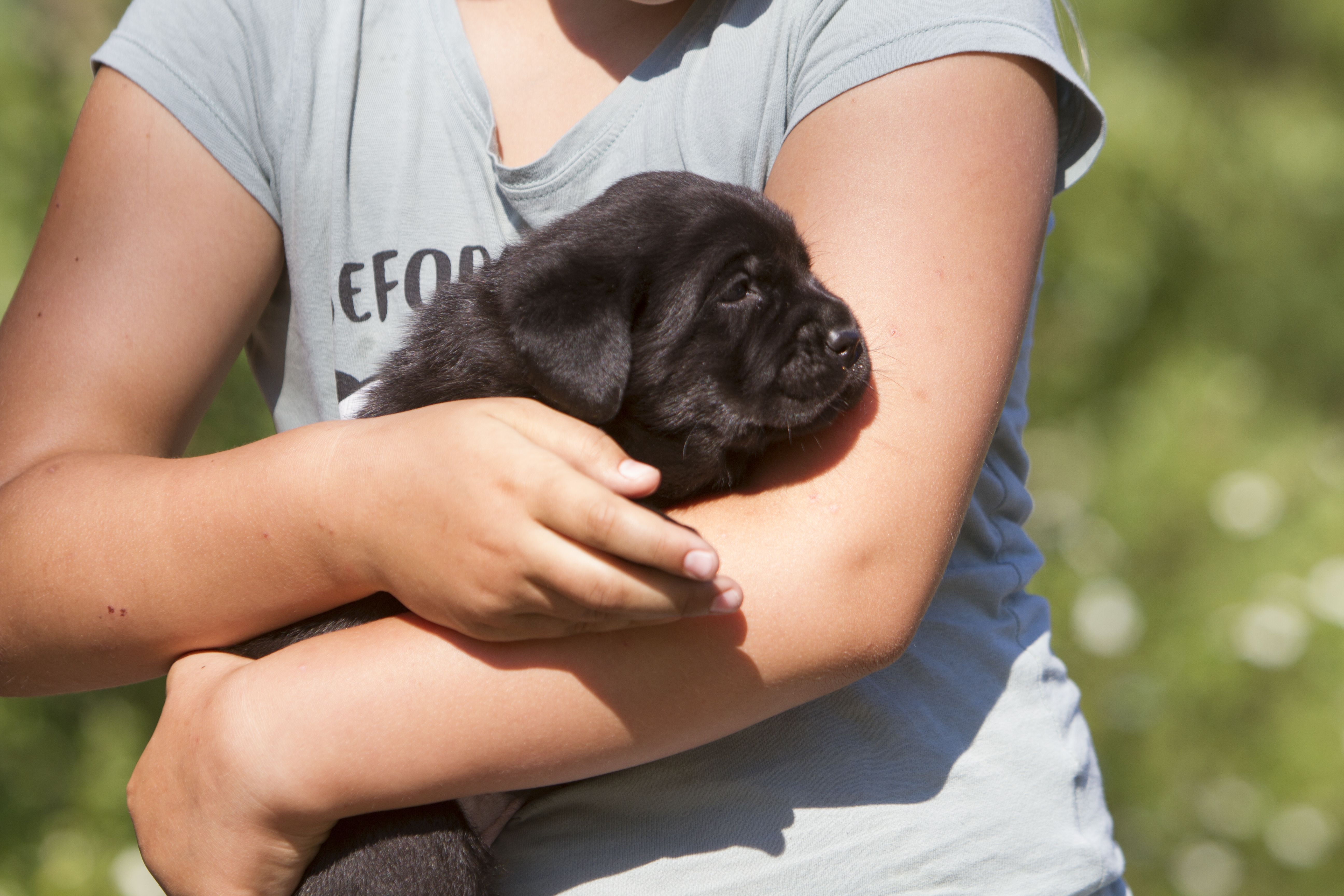 My Brand Star Attraction