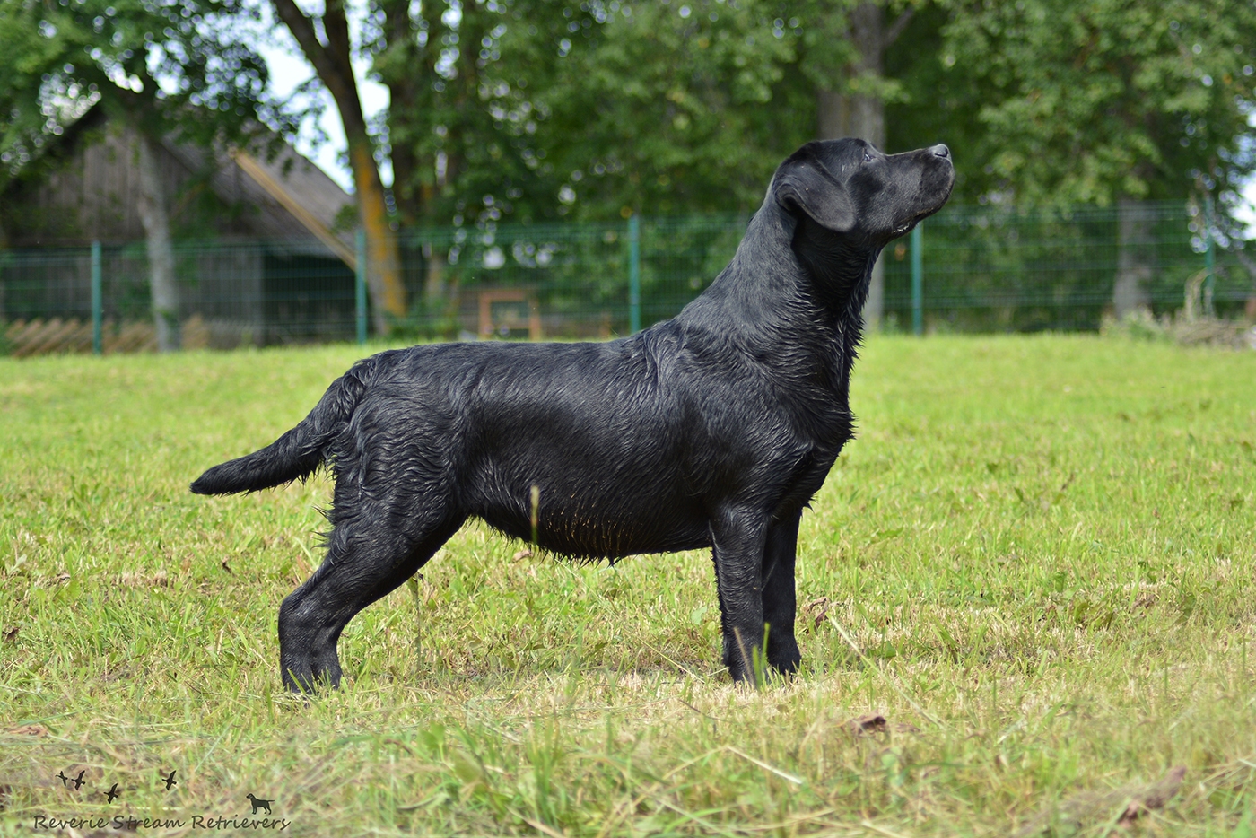 My Brand Three Thousand Reasons