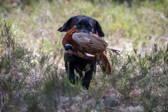 My Brand Three Thousand Reasons