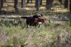 My Brand Three Thousand Reasons