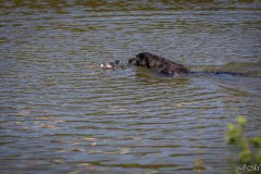 My Brand Three Thousand Reasons