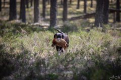 My Brand Three Thousand Reasons