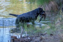 My Brand Three Thousand Reasons