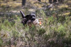 My Brand Three Thousand Reasons