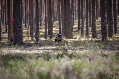 My Brand Three Thousand Reasons