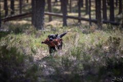 My Brand Three Thousand Reasons