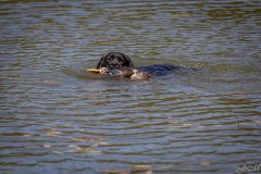 My Brand Three Thousand Reasons