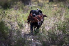 My Brand Three Thousand Reasons