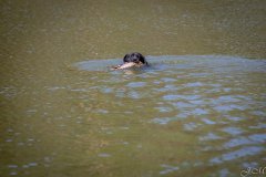 My Brand Three Thousand Reasons