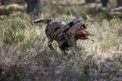 My Brand Three Thousand Reasons