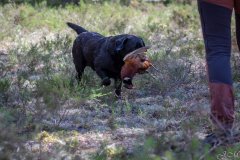 My Brand Three Thousand Reasons