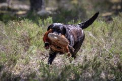 My Brand Three Thousand Reasons