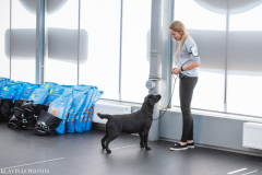 My Brand Three Thousand Reasons