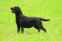 My Brand Three Thousand Reasons (photo by Guna Riže)