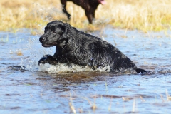 My Brand Three Thousand Reasons (photo by Guna Riže)