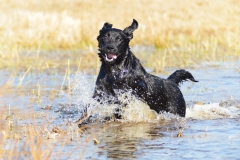 My Brand Three Thousand Reasons (photo by Guna Riže)